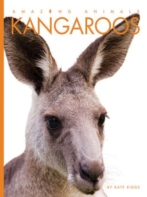 Kangaroos - ebook